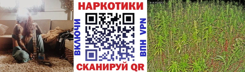 Названия наркотиков Аргун Бутират  mega ссылка  ГАШИШ  АМФЕТАМИН  Меф мяу мяу 
