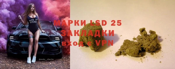 гидра Алексин