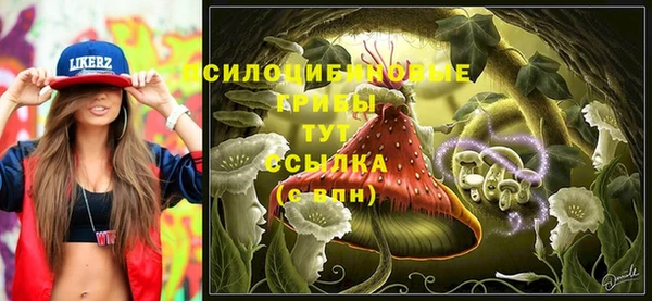 гидра Алексин